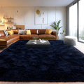 Area Rugs for Living Room, Soft Shaggy Carpets for Living Room, Fuzzy Rugs for by Isdook