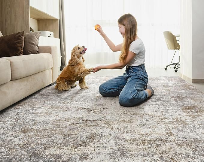 6x9 Area Rug Living Room Rugs - Image 4