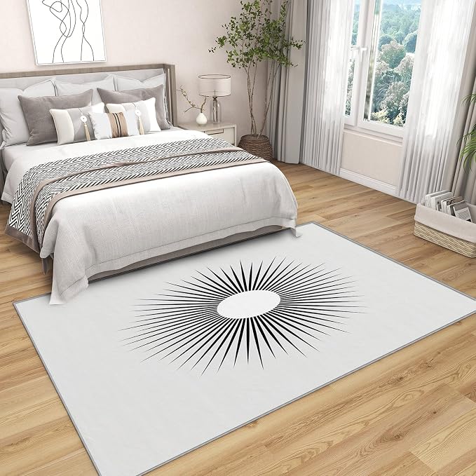 Mid Century Rugs for Living Room -Minimalist Sun Rug, 3x5 ft, Modern Abstract - Image 3