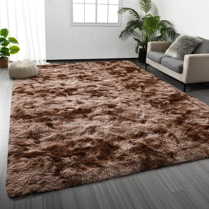 Shag Area Rug, 4 X 6 Tie-Dyed Plush Fuzzy Rugs by Deerhoo