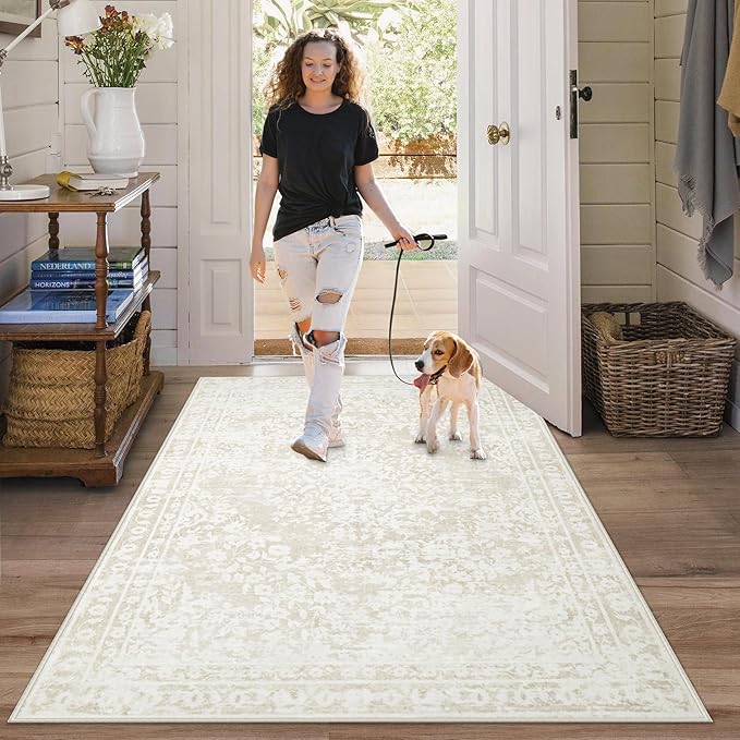 Area Rug 3x5 Entryway Rugs by AOYAOMI