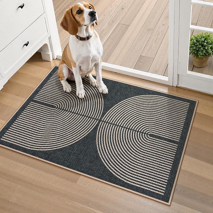 Lahome Rainbow Indoor Door Mat, Farmhouse Non Slip Non Shedding Lightweight - Image 6