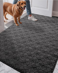 LUMI Indoor Door Mat, Absorbent Non-Slip Thin Doormat, Washable Door Mats by LUMI