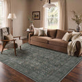 Bavni Area Rugs for Living Room, 5x7 Area Rugs Non-Slip Washable，Ultra-Thin by BAVNI
