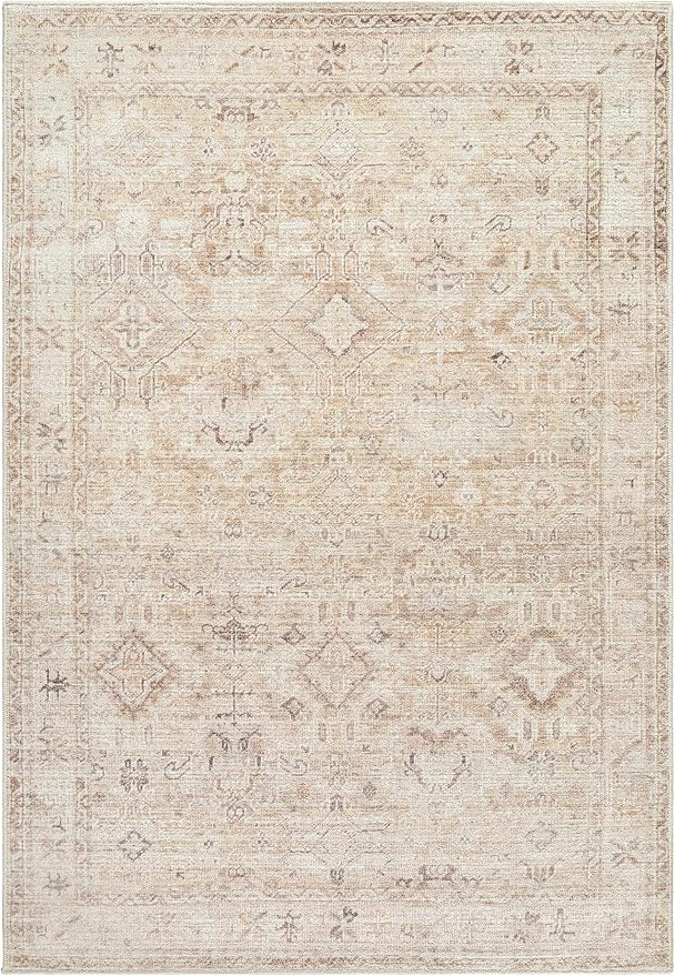 Hauteloom Nakia Living Room, Bedroom Area Rug - Image 8