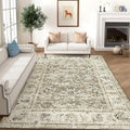 jinchan Fiora 6x9 Area Rug for Living Room Washable Soft Throw Rug Ultra-Thin by JINCHAN