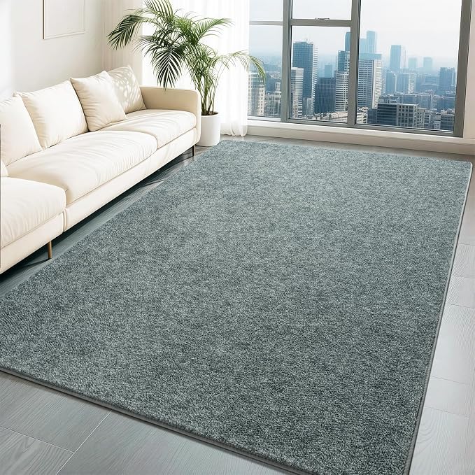 HQAYW 7x10 Large Area Rugs for Living Room Bedroom, Modern Thickened Memory by LookingforAComfyLife