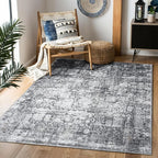 Area Rug 4×6, Vintage Boho Rug, Ultra-Soft Low Pile, Non Slip, Stain Resistant by DomitapisRug