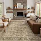FMFUNCTEX 10x12 Washable Area Rug Brown Vintage Neutral Distressed Large Non by Fmfunctex
