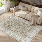 jinchan Fiora 4x6 Area Rugs for Bedroom by JINCHAN