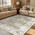jinchan Fiora Vintage Floral 5x7 Area Rugs by JINCHAN