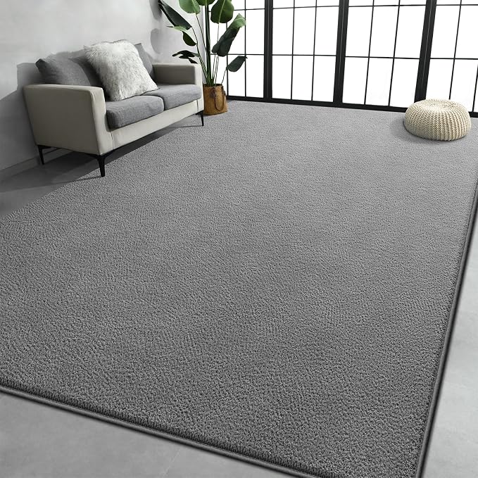 Large Area Rugs for Living Room Bedroom, 4x6 Feet Grey Rug, Minimalist Modern by Chewoo