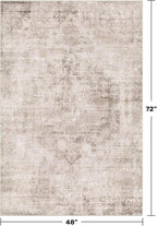 Washable 4x6 Rug for Small Living Room, Area Rug for Kitchen, Large Entryway - Image 2