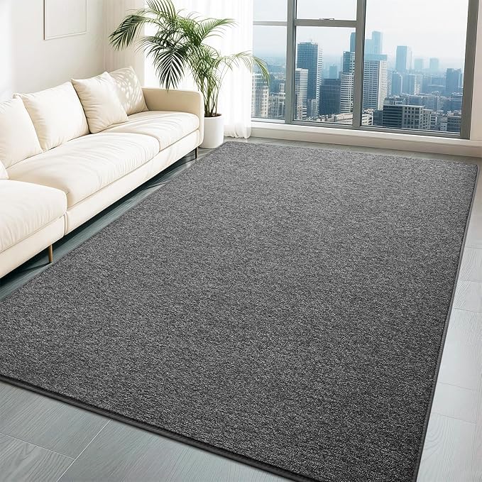 HQAYW 7x10 Large Area Rugs for Living Room Bedroom, Modern Thickened Memory by LookingforAComfyLife