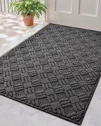LUMI Indoor Door Mat, Absorbent Non-Slip Thin Doormat, Washable Door Mats by LUMI
