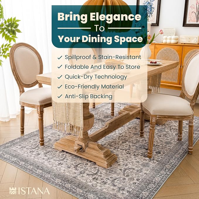 Istana 4x6 Rug - Pale Rose Beige Area Rugs 4x6 - Kid & Pet Friendly Machine - Image 5