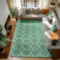 ONASAR Rugs for Living Room Bedroom, 5x8 Washable Fluffy Sage Green and White by ONASAR