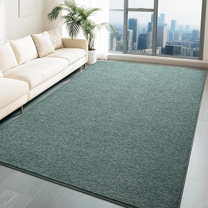 HQAYW 5x7 Area Rugs for Living Room Bedroom, Modern Thickened Memory Foam Soft by LookingforAComfyLife