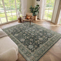 Washable 6x9 Area Rugs for Living Room, Boho Non-Slip Vintage Distress Large by Hedwior