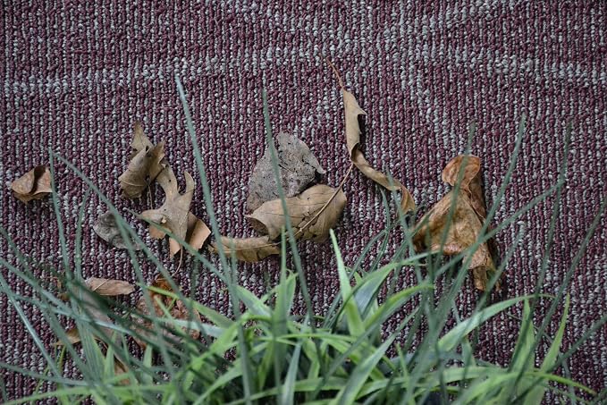 Furnish my Place Geometrical Pattern Indoor/Outdoor Refine Burgundy Abstract - Image 2