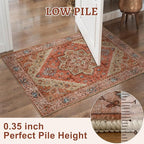 Tangsoo 4x6 Area Rug for Living Room, Washable Vintage Indoor, Distressed - Image 4