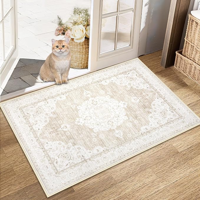 Area Rug 2x3 Entryway Rugs by AOYAOMI