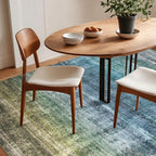 Kokia Abstract Area Rugs 8x10 Bedroom Soft Living Room Rugs Washable Distressed - Image 7