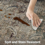 Fmfunctex 5x7 Washable Area Rug Neutral Vintage Brown Distressed Non Slip Low - Image 8