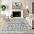 Deerly Grey Rug 6x9 Rugs for Living Room Distressed, Washable Area Rugs Non by Deerly