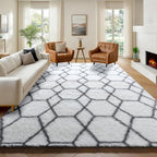 ONASAR 6x9 Area Rugs for Living Room Bedroom, Washable Large Fluffy White and by ONASAR