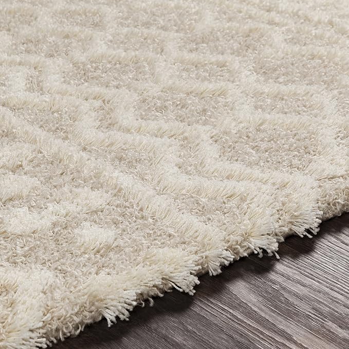 Livabliss Hapsburg Moroccan Shag Area Rug - Image 4