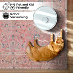 GLN Rugs Traditional Collection - Image 6