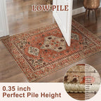 Tangsoo 3x5 Rug, Washable Vintage Rugs Indoor Area Rug, Non Slip Accent Rug - Image 4