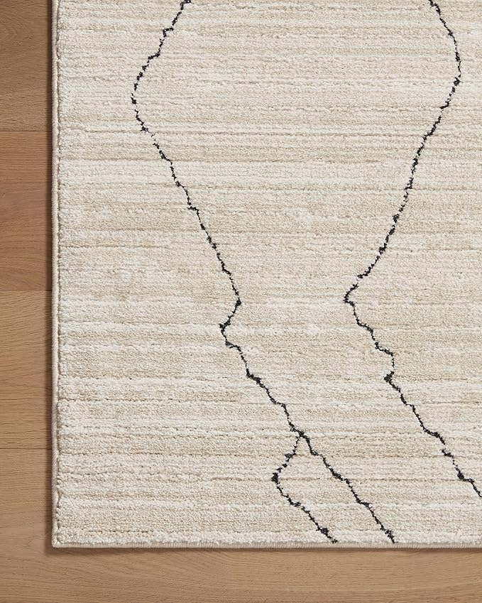 Loloi Darby Collection DAR-03 Sand/Charcoal 11'-6" x 15' Area Rug - Image 5