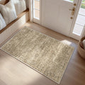 FMFUNCTEX Entryway Rug 2x3 Washable Brown Vintage Distressed Oriental Door Mat by Fmfunctex
