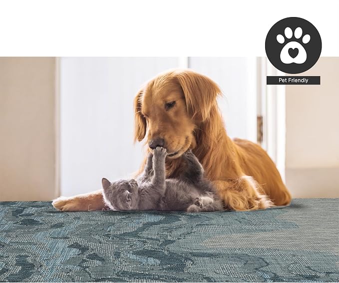 FH Home Outdoor Rug - Image 6