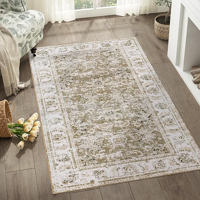 jinchan Fiora Washable Area Rug 3x5 Entryway Rug by JINCHAN
