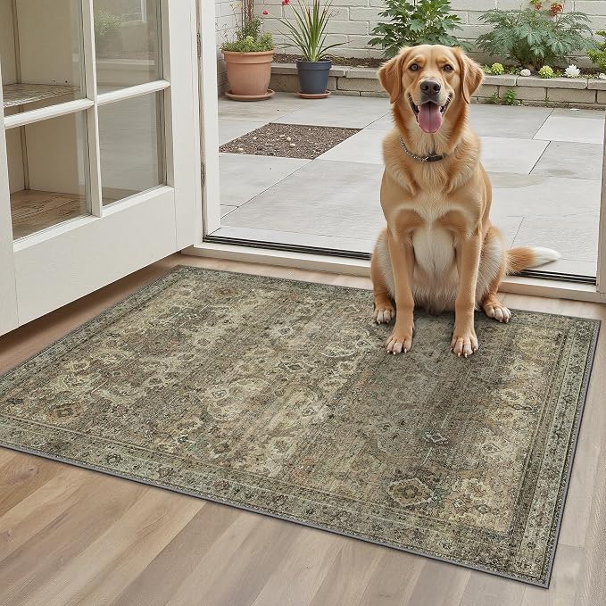 2x3 Entrance Rug Machine Washable Rug Small Door Mat, Ultra-Thin Low Pile Pad by BAVNI