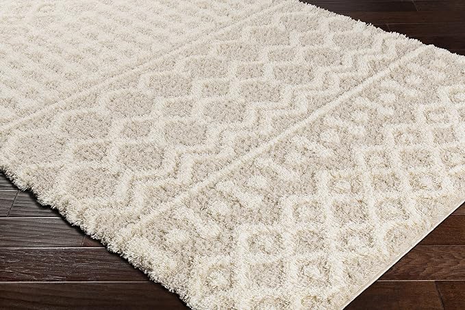 Livabliss Hapsburg Moroccan Shag Area Rug - Image 7