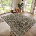 Washable 5x7 Area Rugs for Living Room, Boho Non-Slip Vintage Distress Rugs for by Hedwior