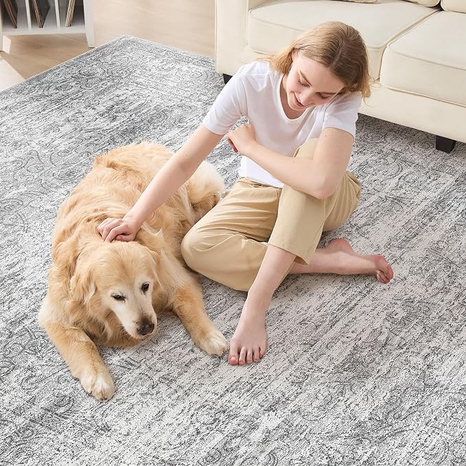 Area Rug Living Room Rugs - Image 5
