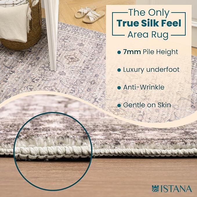 Istana 4x6 Rug - Pale Rose Beige Area Rugs 4x6 - Kid & Pet Friendly Machine - Image 6