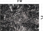 Rugshop Abstract Marble Shag Area Rug Anthracite Dark Gray 2' x 3' Ideal - Image 2