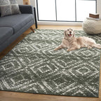 SAFAVIEH Adirondack Collection Area Rug - Image 5