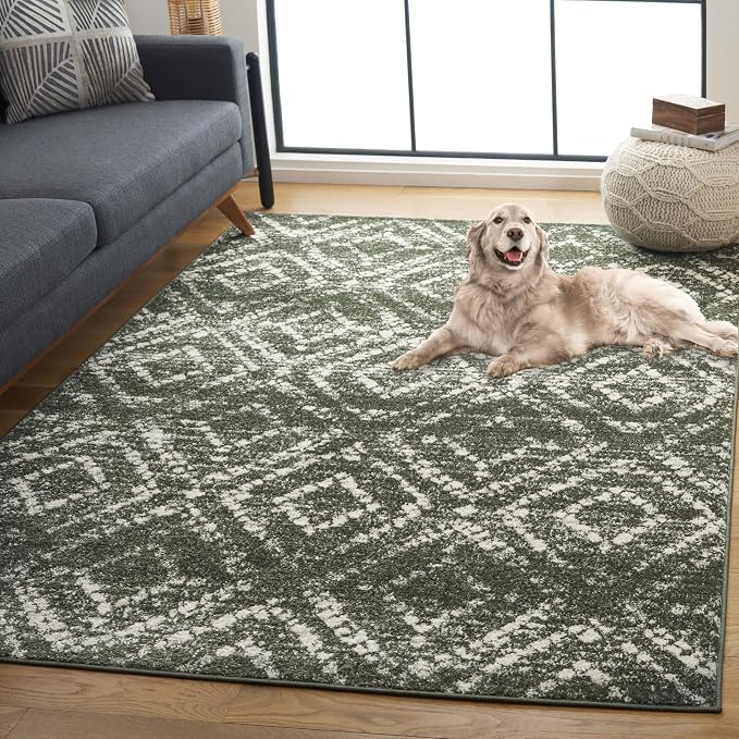 SAFAVIEH Adirondack Collection Area Rug - Image 5