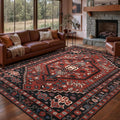 Ciicool Washable 5x7ft Rugs for Living Room Non-Slip Indoor Area Rug Large by CIICOOLHomeDeco