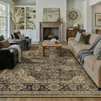 HUGEAR Retro Brown Area Rug 9x12 Machine Washable Living Room Rugs Distressed by HUGEAR