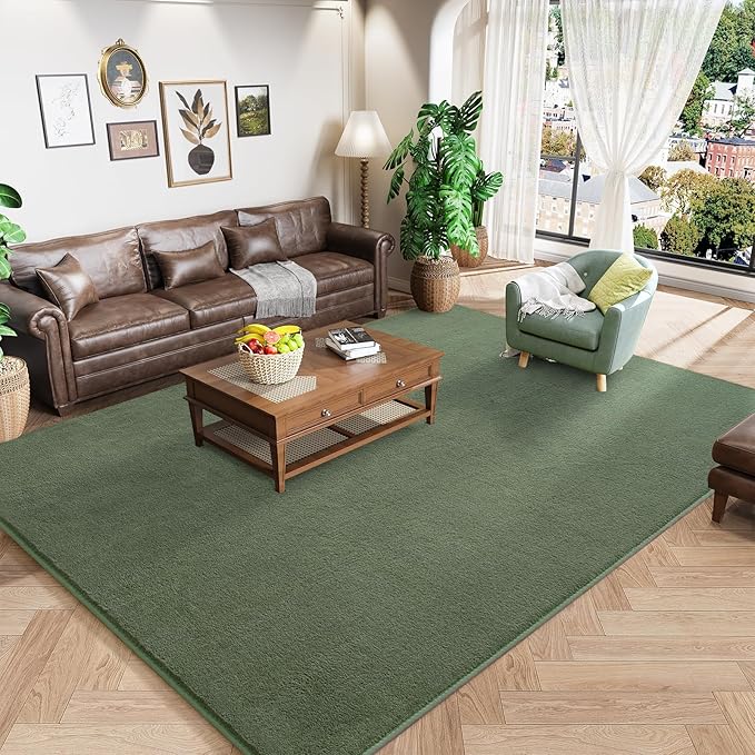 Amearea Modern Area Rugs for Bedroom Living Room, 4x6 Feet Sage Green Thickened by AmeareaDirect
