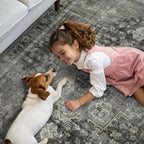 GENIMO 8x10 Area Rugs for Living Room, Machine Washable Non Slip Vintage Rugs - Image 3