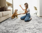 8x10 Area Rug Living Room Rugs - Image 7